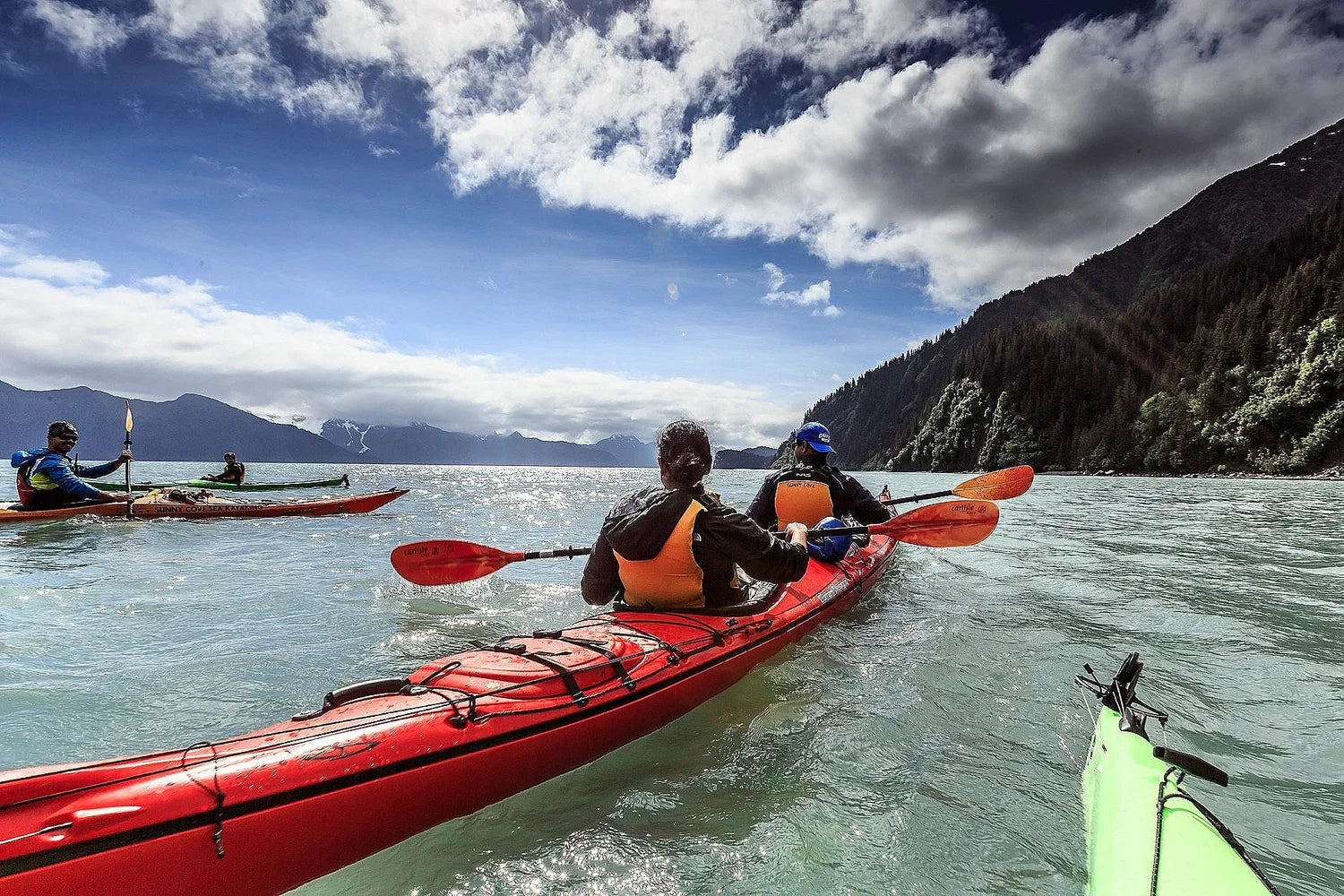 Sunny Cove Sea Kayaking Tours
