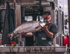JDock Fishing Charters