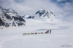Dog Sledding - Seward Helicopter Tours