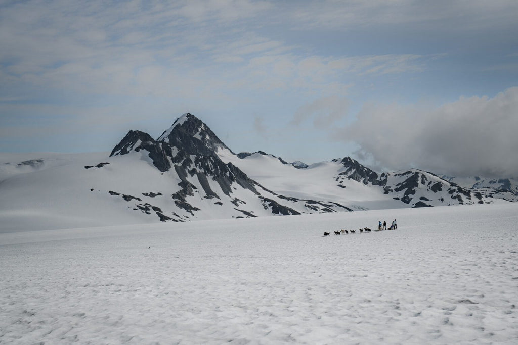 Dog Sledding - Seward Helicopter Tours