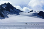 Dog Sledding - Seward Helicopter Tours