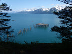 Sea Kayaking -Caines Head Kayak & Hike Adventure