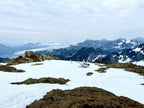 Glacier Landing - Seward Helicopter Tours